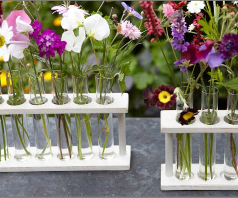 Test tube holder, RE, vase, flower display, single blooms, Spring flowers, floral display, flowers, ideal home, RE, homeshoppingspy, alice humphrys